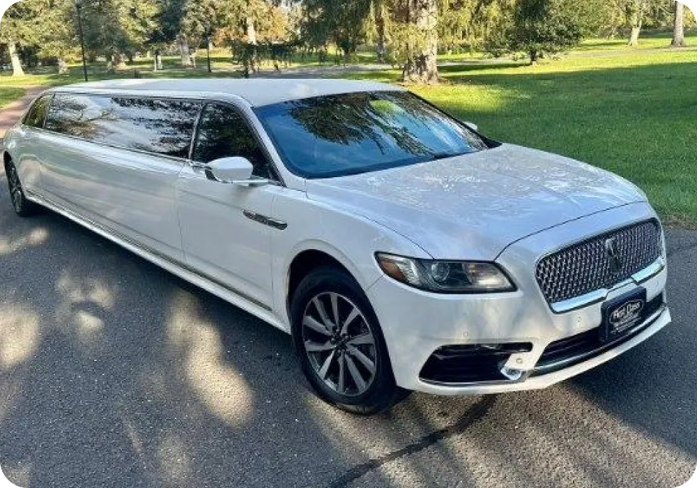 Fleet Limo tmps0shw39k (1)