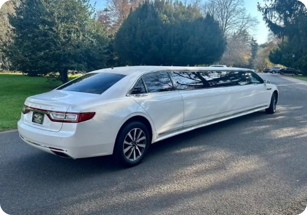 Fleet Limo tmpue122aw1